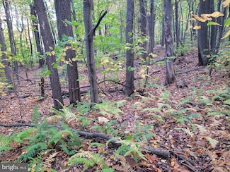 Lot 276 Ironmasters Sandalwood Way, Claysburg, PA 16625