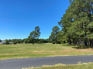 427 Pinelake Ct, Manning, SC 29102