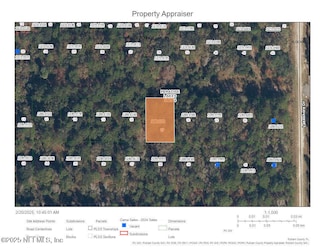 333 Laisy Dr, Georgetown Cove, FL 32139