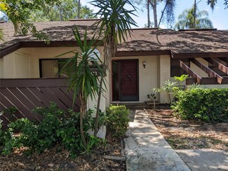 4023 Bluff Oak Ct, Palm Harbor, FL 34684