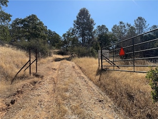 20 Bull Pine Ln, Mariposa, CA 95338