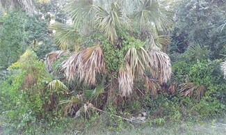 0 Blueberry Rd Unit MFROM702283, North Port, FL 34288