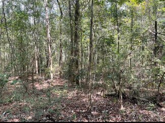 000 Mcgregor Rd, Vancleave, MS 39565