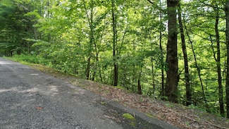 Lot 98E Black Powder Ln, Sevierville, TN 37862