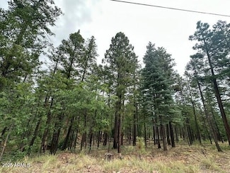 2076 Buttermilk Ln Unit 10171052, Alpine, AZ 85920