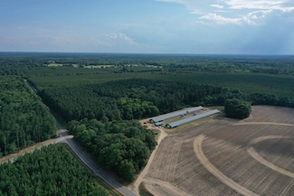 2003 State Road S-6-81, Williston, SC 29853