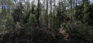 4345 Vicki St, Hastings, FL 32145