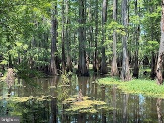 0 Tick Bite Rd, Grifton, NC 28530