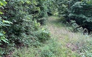 0 Trackrock Gap Rd Unit 412780, Blairsville, GA 30512