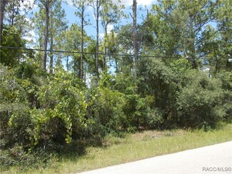 1725 W Union St, Citrus Hills, FL 34442