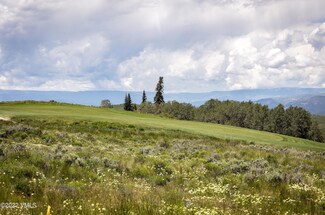 455 Pine Marten Way, Edwards, CO 81632