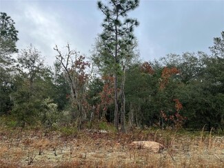 0 O Farrell Ave, Interlachen, FL 32148