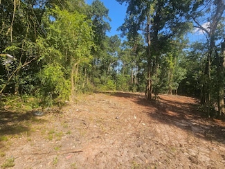 470 Forrest Dr, Louisville, GA 30434