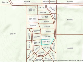 5212 Burt Lake Views Dr, Alanson, MI 49706
