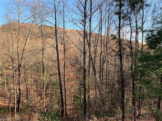 TBD (Lot 4) Wolf Den Ln, Lenoir, NC 28645