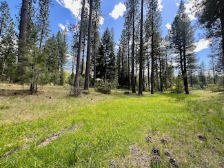 375 Eureka Springs Dr, Plumas Eureka, CA 96103