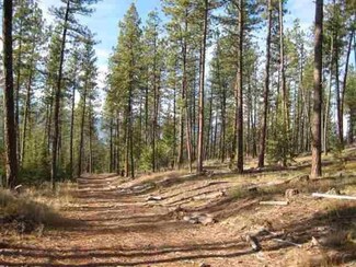 Nhn Whitetail Ridge Rd, Huson, MT 59846