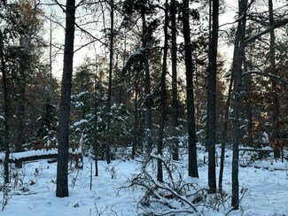 0 Huckleberry Trail Unit 201822633, Grayling, MI 49738