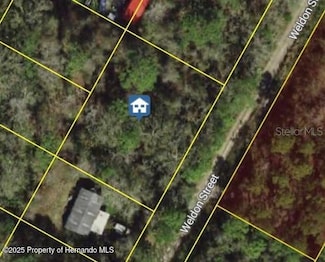 00 Weldon St, New Point Richey, FL 34654