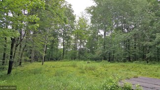 3698 State 87 NW, Backus, MN 56435