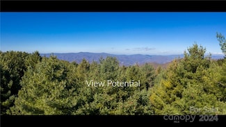 197 Eagle Bald Trail Unit 34, Burnsville, NC 28714