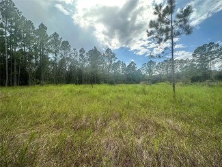 0 Cleft Rock St Unit MFRTB8309524, Webster, FL 33597