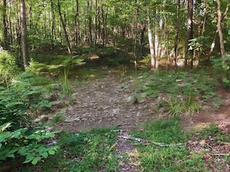 0 Walden Farms Rd Unit RTC2710301, Signal Mountain, TN 37377