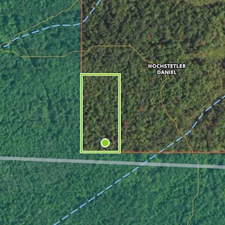 0 W Olson Rd Unit 50176485, Shepherd, MI 48883