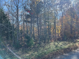 00 Williams Trail, Halifax, VA 24558