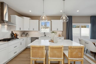 20398 Gallifrey Way, Lakeville, MN 55044
