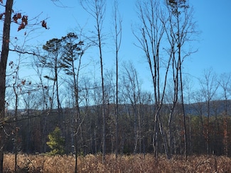0 Craigs Creek Rd Unit 904783, New Castle, VA 24127