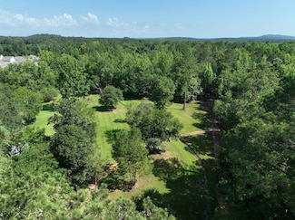17577 Us Highway 411, Springville, AL 35146