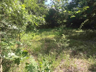 TBD Weeping Willow Ln, Mena, AR 71953