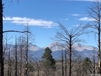 000 Marriott Cir, Fort Garland, CO 81133