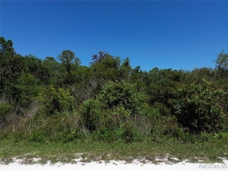 33455 Berryhill Dr, Webster, FL 33597