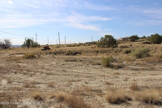 X Illinois, Bloomfield, NM 87413