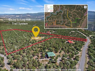 23 Pine Dr, Ridgway, CO 81432