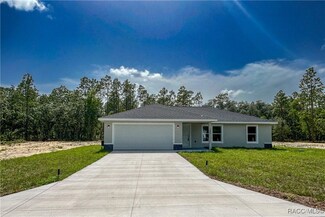 1390 SW Obee Ridge Rd, Dunnellon, FL 34431