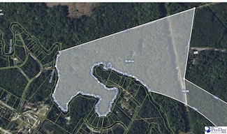 69 Acres W Freight Rd, Florence, SC 29501