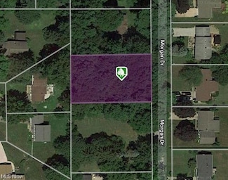 V/L Morgan Dr, Painesville Township, OH 44077