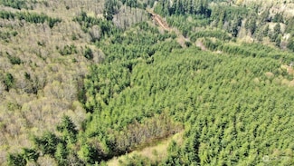 0 Off of Washington 107, Montesano, WA 98563