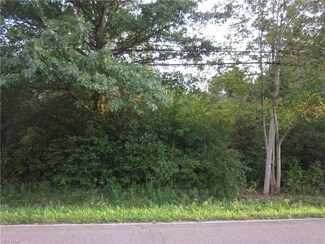 lot 31 Tallmadge Rd, Diamond, OH 44412