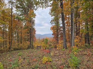 Lot 73 Tomahawk Rd, Jamestown, TN 38556