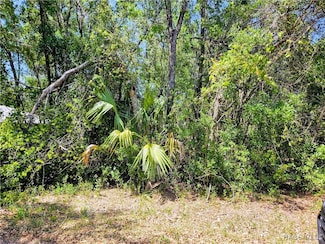 4043 E Dano St, Inverness, FL 34453