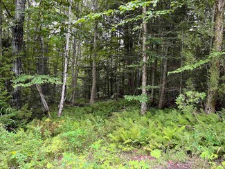 315 Mud Rd, Charleston, VT 05872