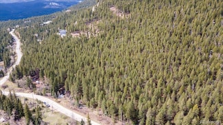 1521 Witter Gulch Rd, Evergreen, CO 80439