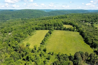 0 Chestnut Land Rd Unit 24024843, New Milford, CT 06776