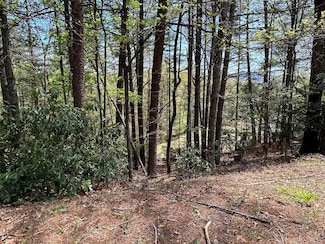 Lt699 Choctaw Dr, Ellijay, GA 30540