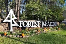 1015 Dogwood Dr, Murphys, CA 95247