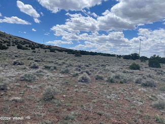 148 Cinder Dr, Concho, AZ 85924